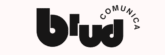 agenciabiud.com